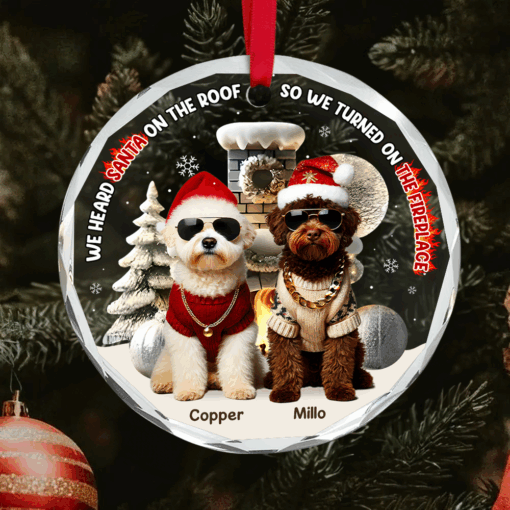 Custom Photo Gifts For Pet Lovers Christmas Ornament, Turned On The Fireplace 01tgpu281024 - Image 4