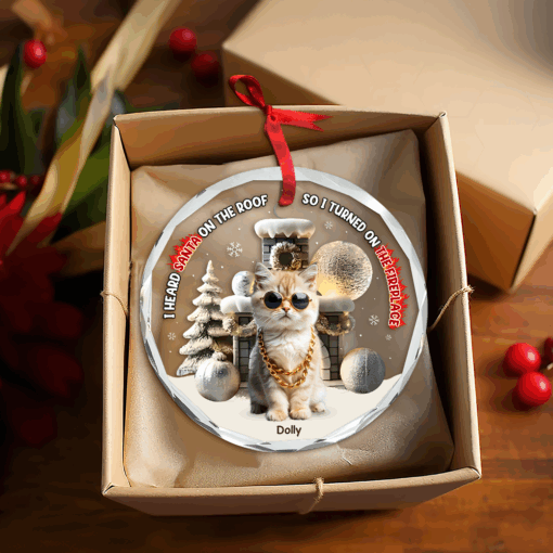 Custom Photo Gifts For Pet Lovers Christmas Ornament, Turned On The Fireplace 01tgpu281024 - Image 5