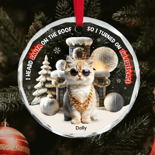 Custom Photo Gifts For Pet Lovers Christmas Ornament, Turned On The Fireplace 01tgpu281024 - Image 6