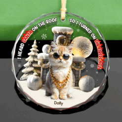 Custom Photo Gifts For Pet Lovers Christmas Ornament, Turned On The Fireplace 01tgpu281024