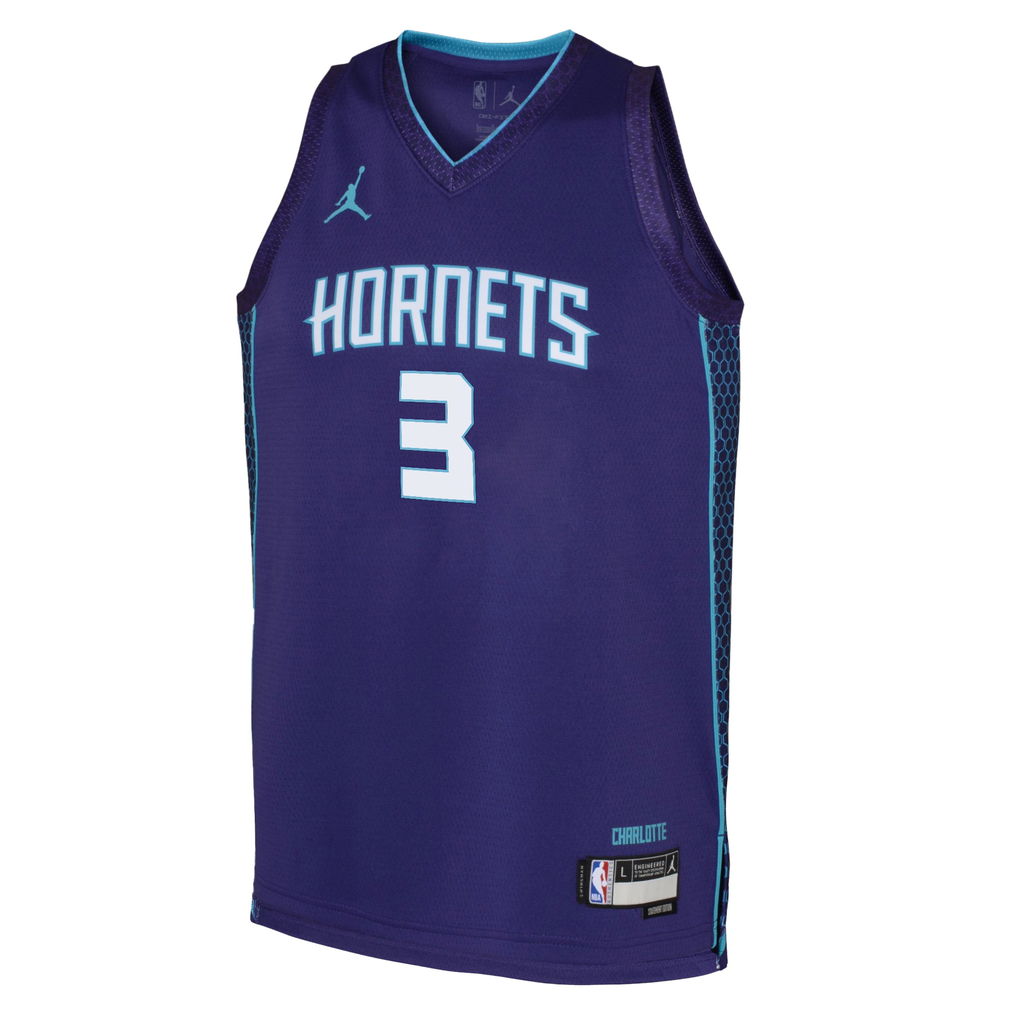 Charlotte Hornets Jordan Brand Statement Edition Swingman Jersey - Purple - Terry Rozier III - Youth - JS674 
