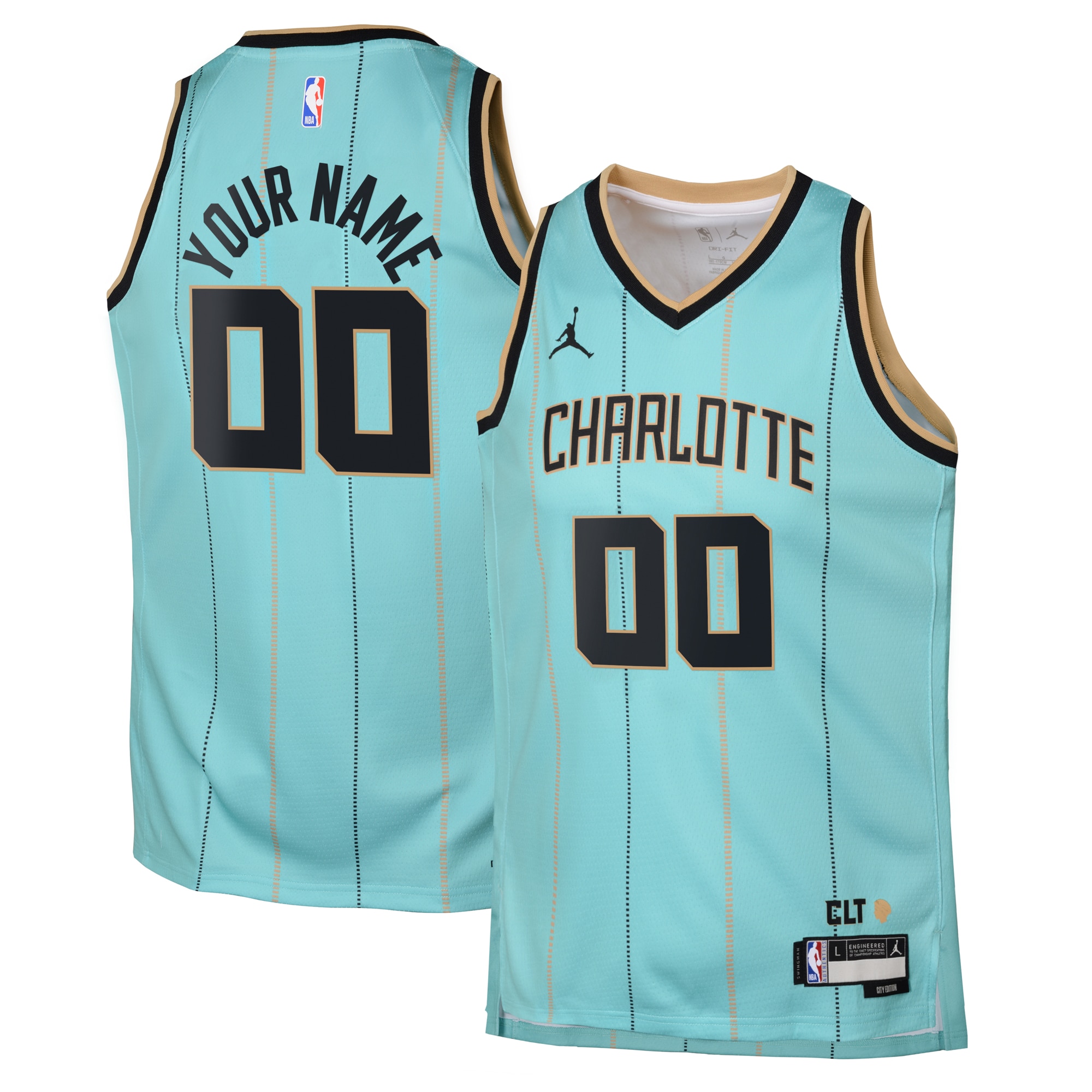 Charlotte Hornets Jordan City Edition Swingman Jersey 2024 - Custom - Youth - JS723 