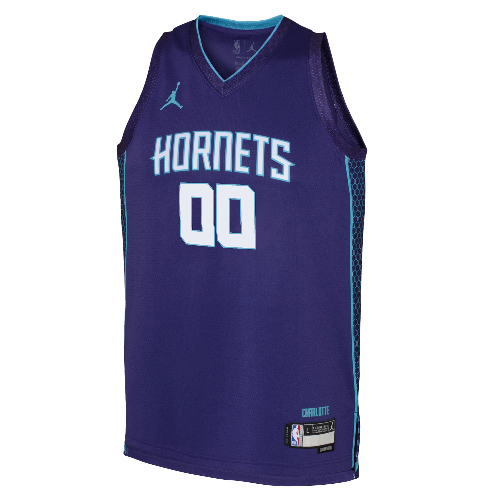 Charlotte Hornets Jordan Statement Edition Swingman Jersey - Custom - Youth - JS610 
