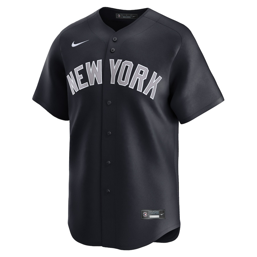 Alternative view of Jasson Domínguez 89 New York Yankees Alternate Limited Player Men Jersey - Navy 