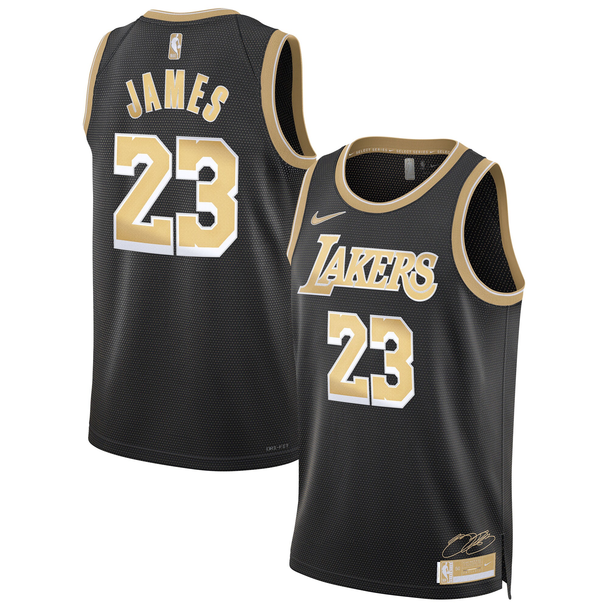 Lebron James Los Angeles Lakers Unisex Select Series Swingman JerseyÃƒâ€šÃ‚Â ÃƒÂ¢Ã¢â€šÂ¬Ã¢â‚¬Å“ Black