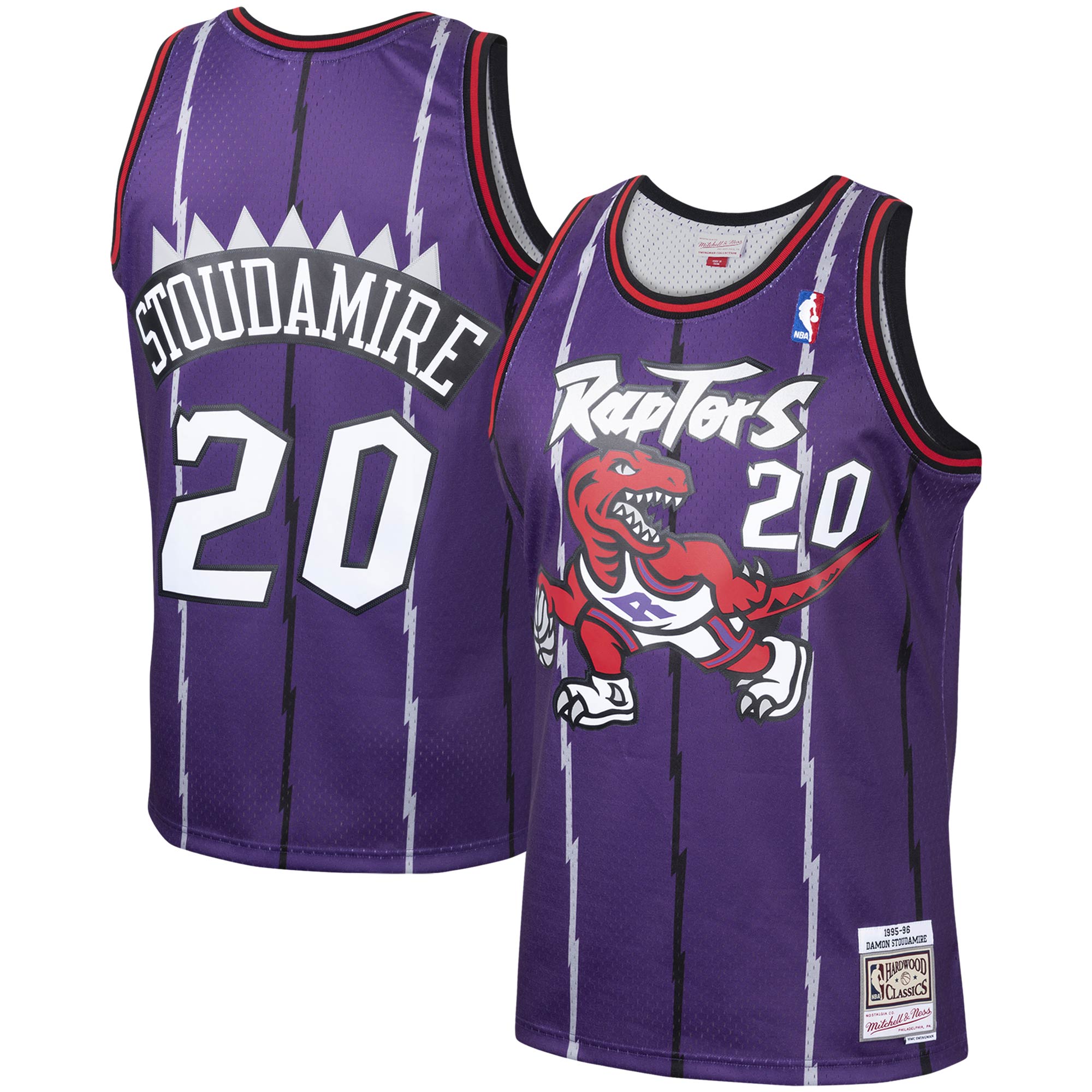 Men's Mitchell & Ness Damon Stoudamire Purple Toronto Raptors 1995-96 Hardwood Classics Swingman Player Jersey - JS899 