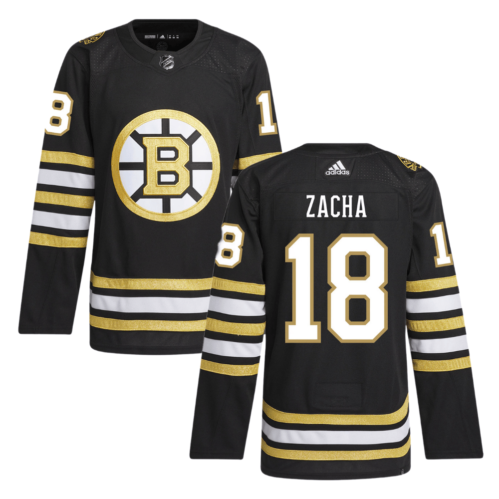 Pavel Zacha 18 Boston Bruins 100th Anniversary Primegreen Home Men Jersey - Black - JS350 