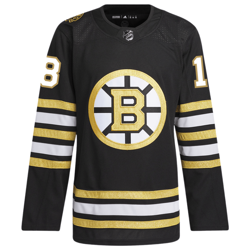 Alternative view of Pavel Zacha 18 Boston Bruins 100th Anniversary Primegreen Home Men Jersey - Black - JS350 