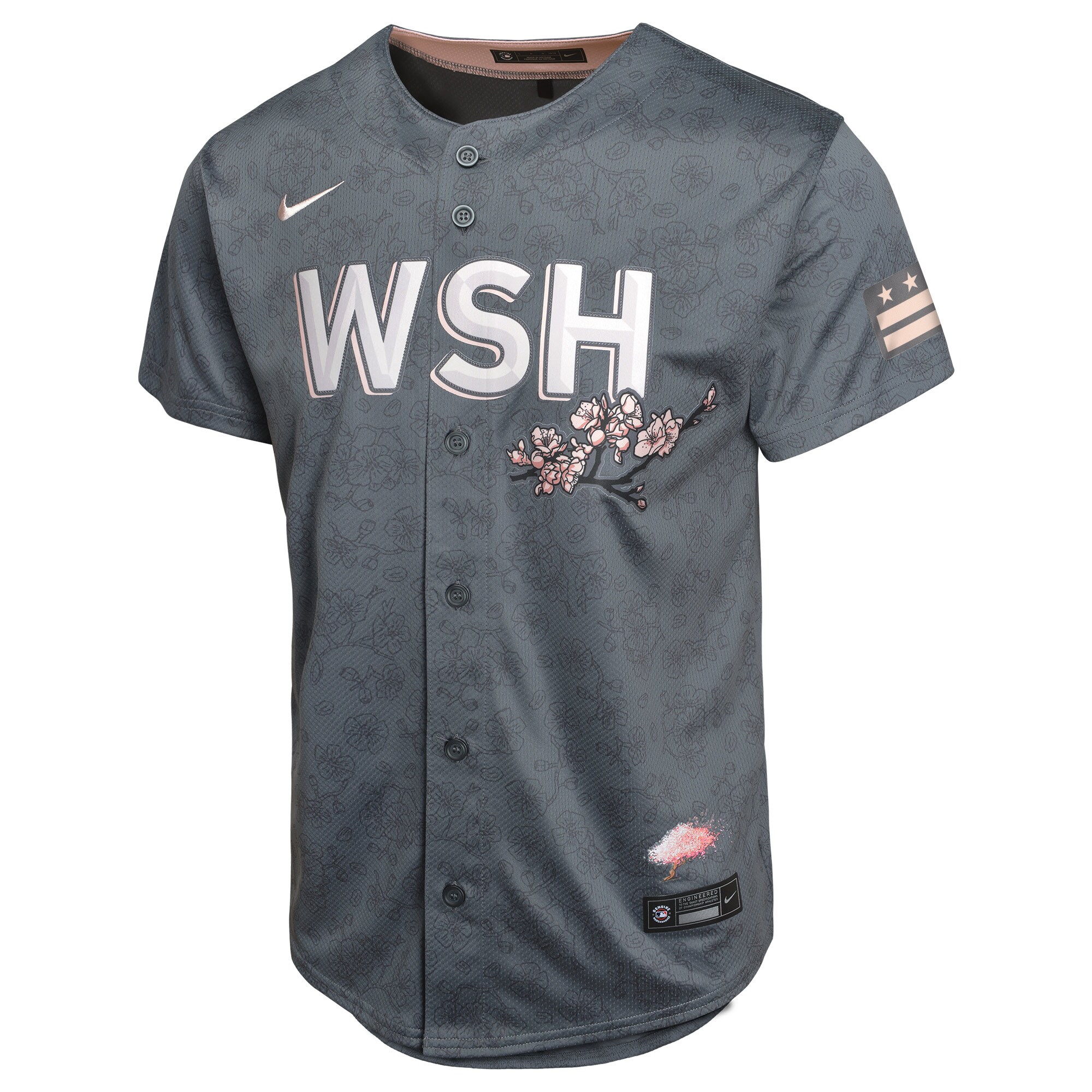 Alternative view of Washington Nationals Youth City Connect Limited Jersey - Charcoal