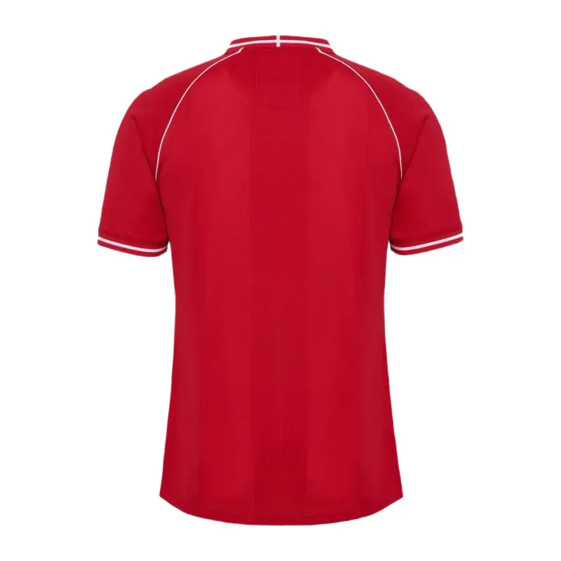 Alternative view of 2026 Denmark Home Jersey