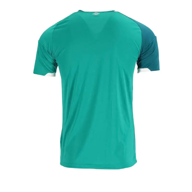 Alternative view of 2026 Northern Ireland Home Jersey