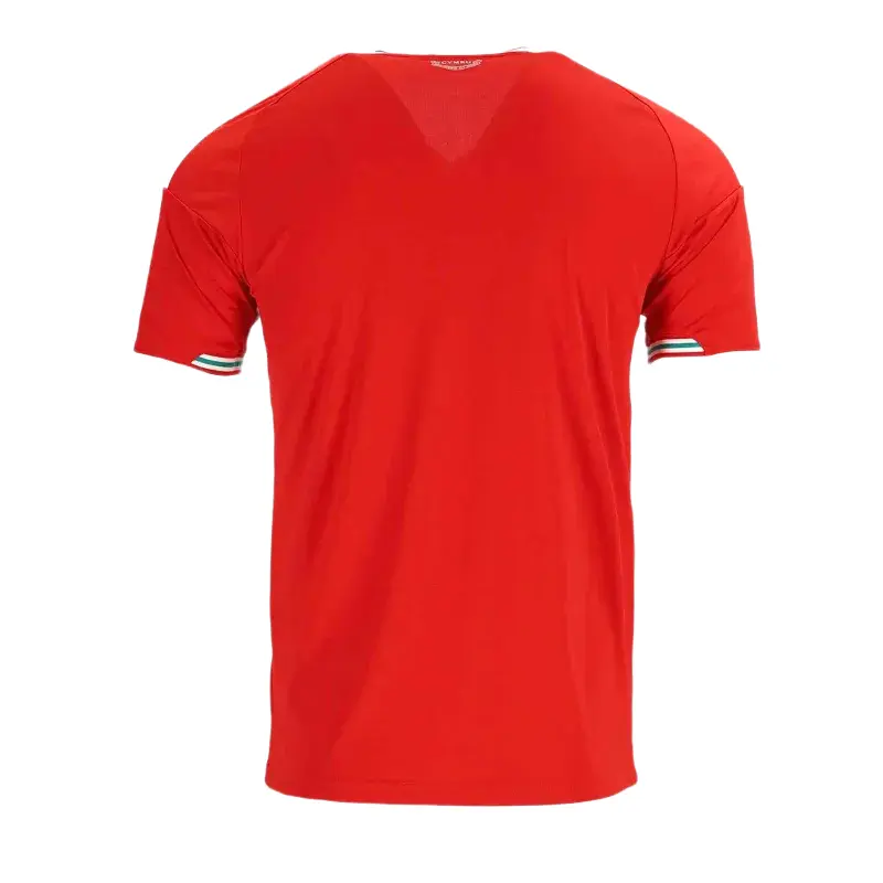 Alternative view of 2026 Wales Home Jersey