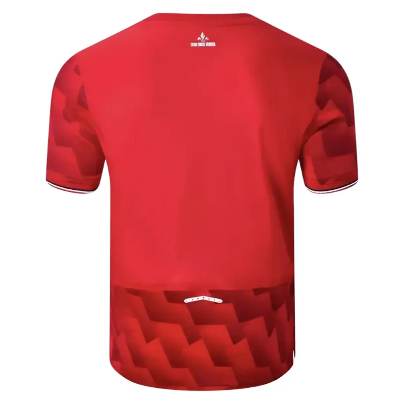 Alternative view of 25/26 Lille Home Jersey